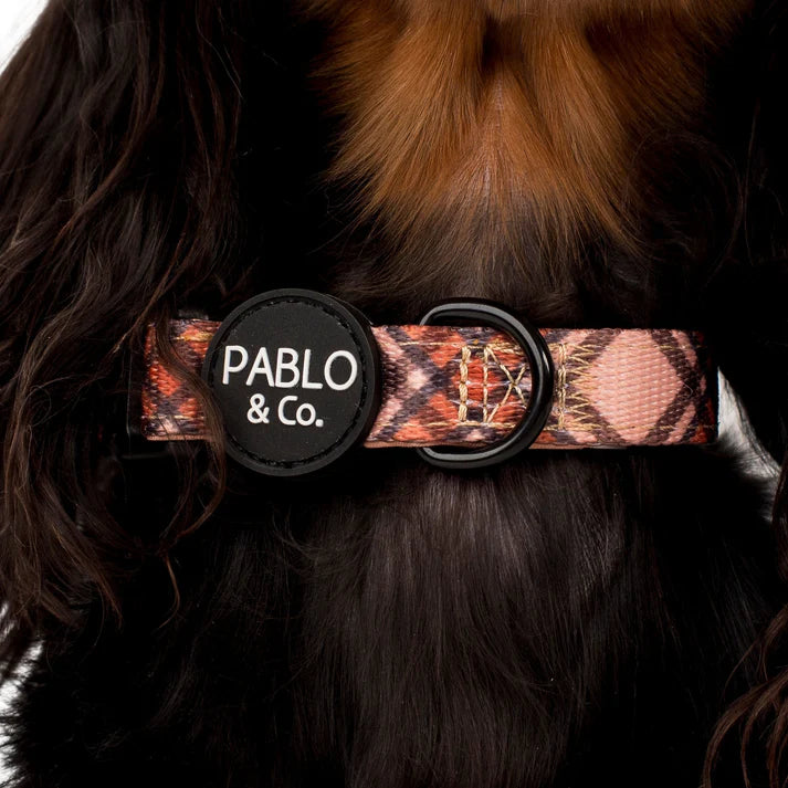 Pablo & Co. Kensington: Collar
