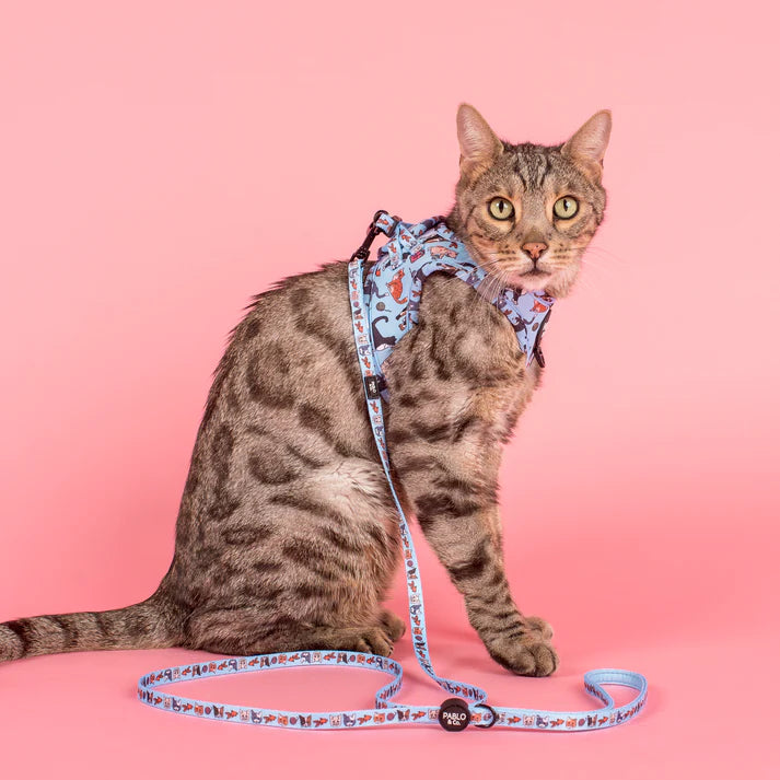 Meow Blue Step In Cat Harness (XS/S)