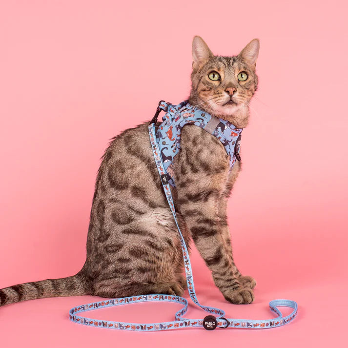 Meow Blue Step In Cat Harness (XS/S)
