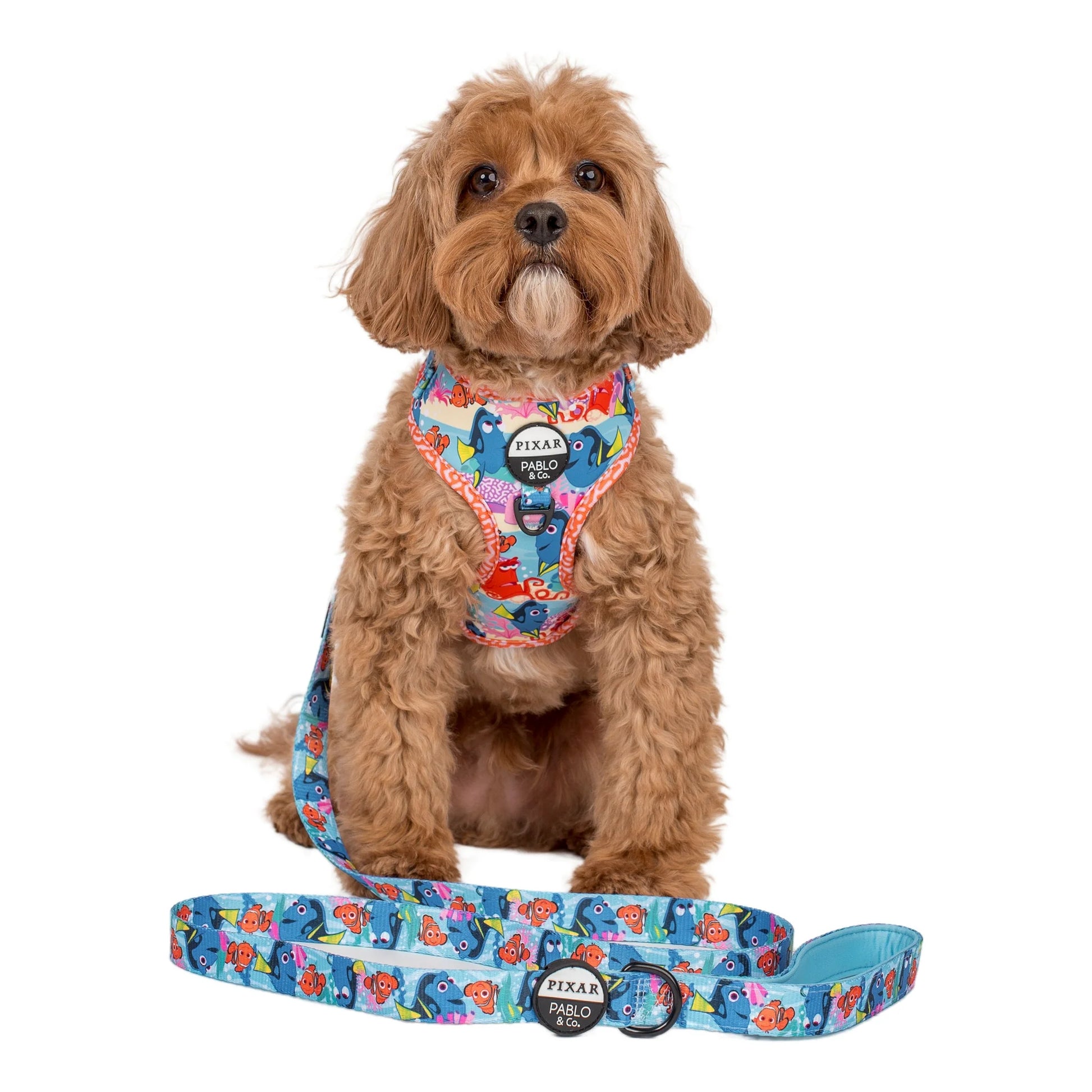 Finding Nemo Dog Leash