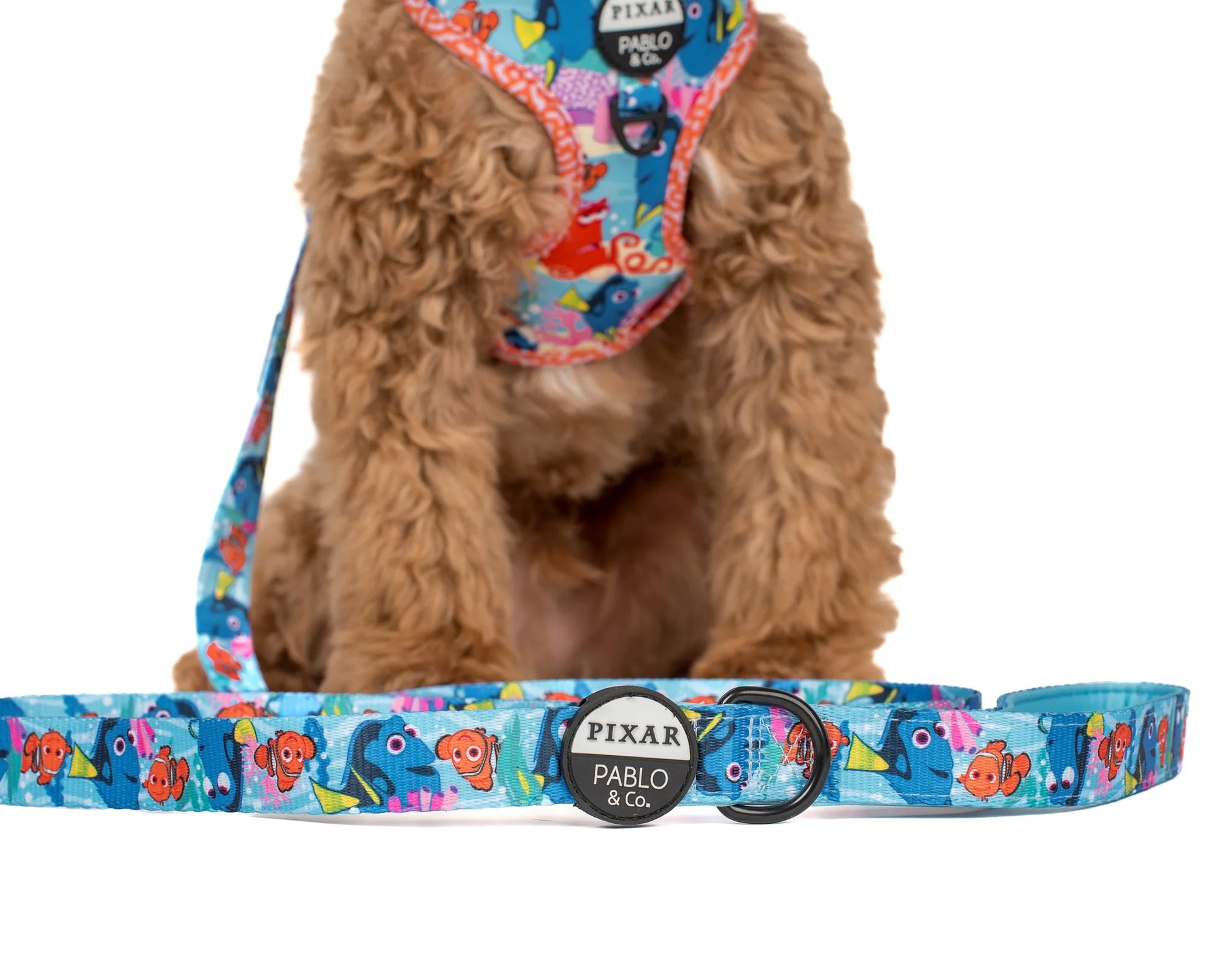 Finding Nemo Dog Leash