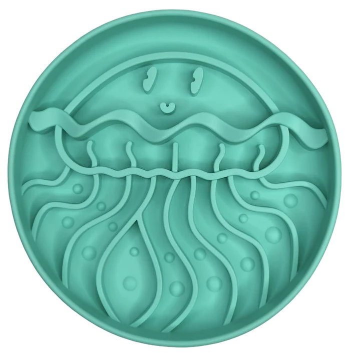 Jellyfish Enrichment Bowl