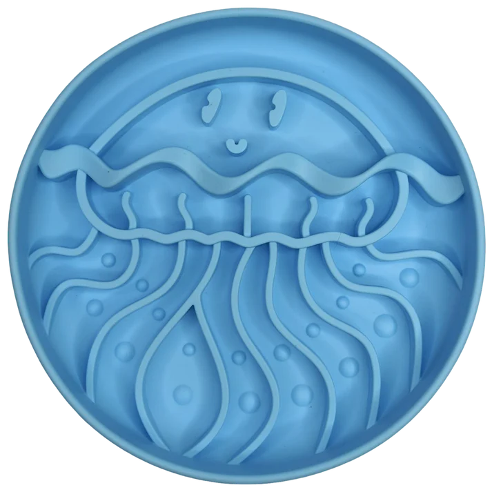 Jellyfish Enrichment Bowl