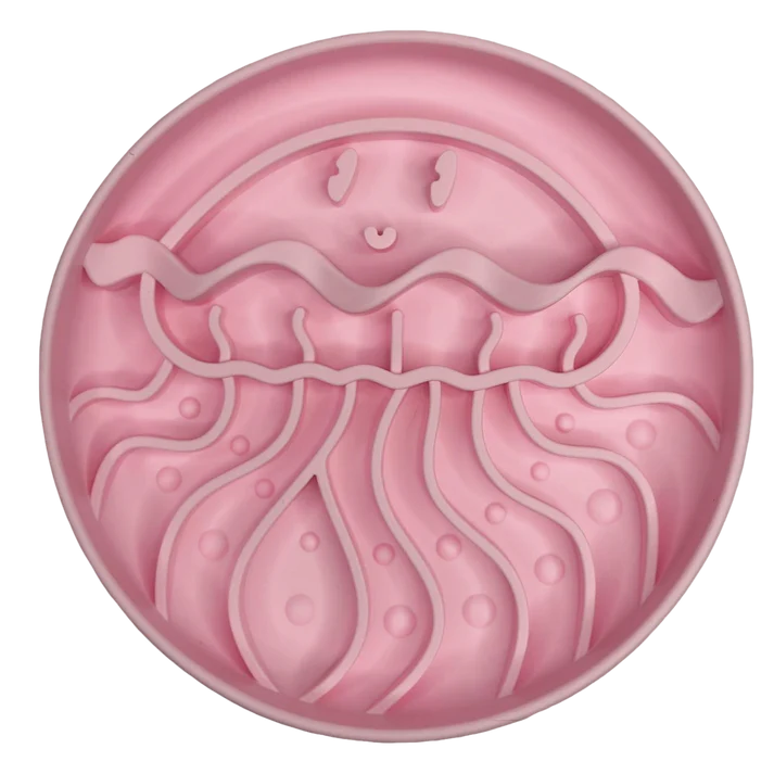 Jellyfish Enrichment Bowl