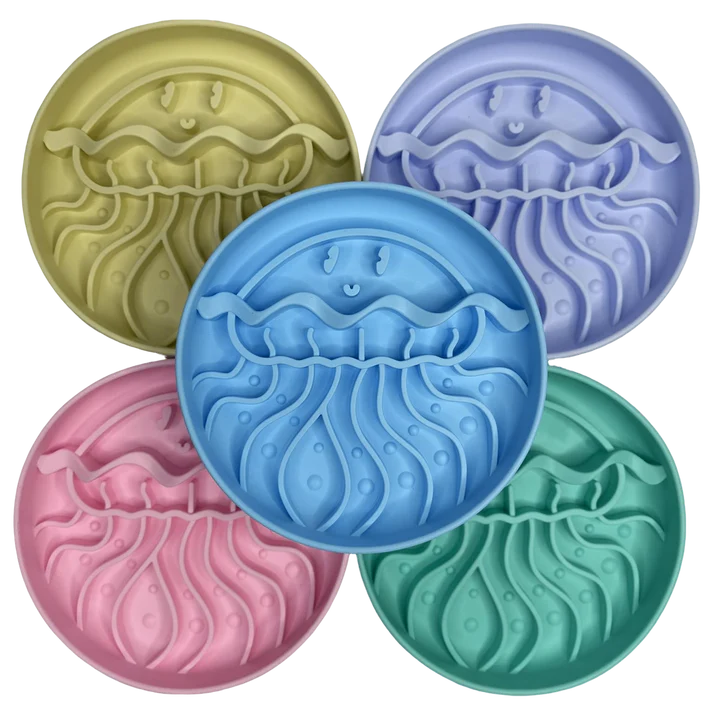 Jellyfish Enrichment Bowl