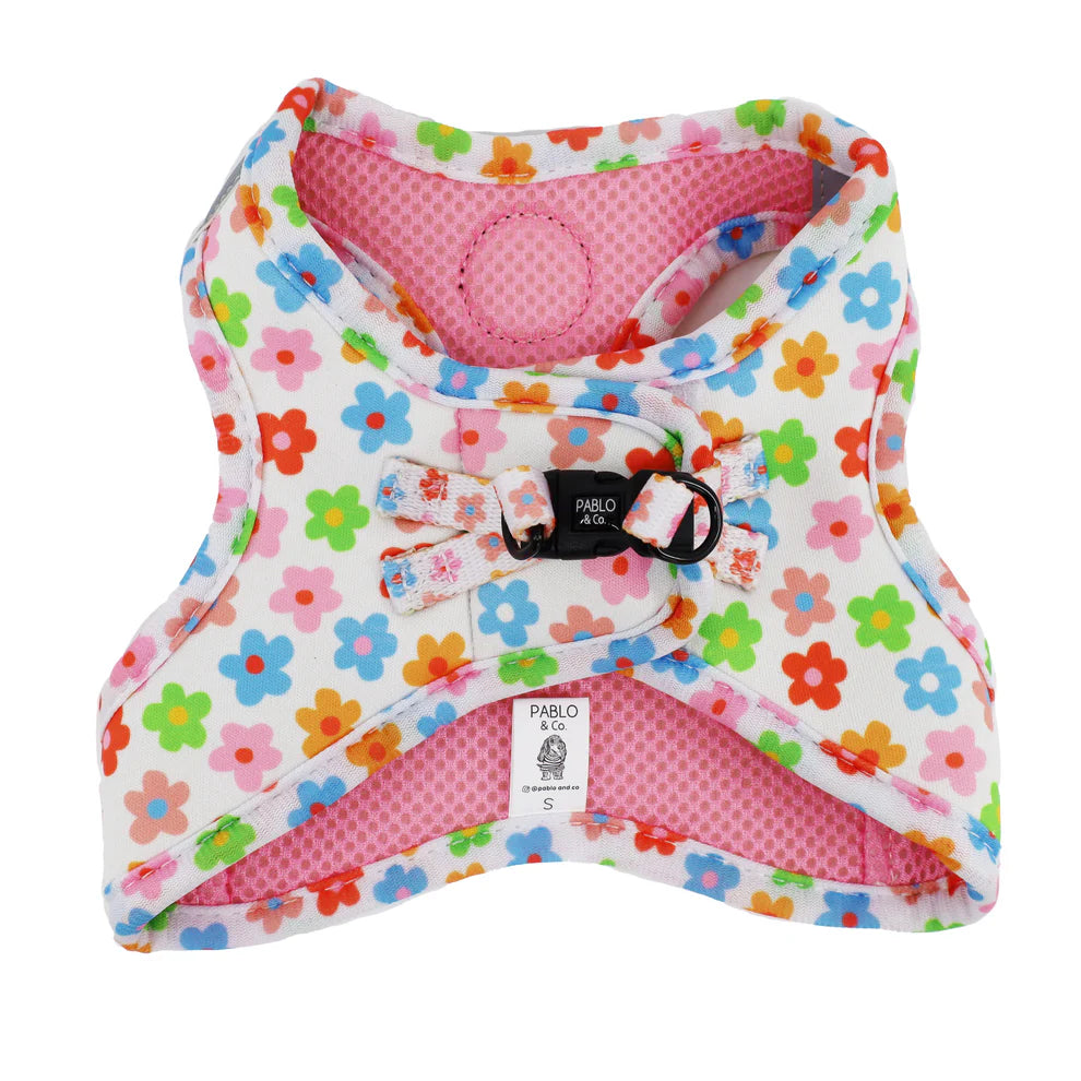 Posy: Step In Cat Harness