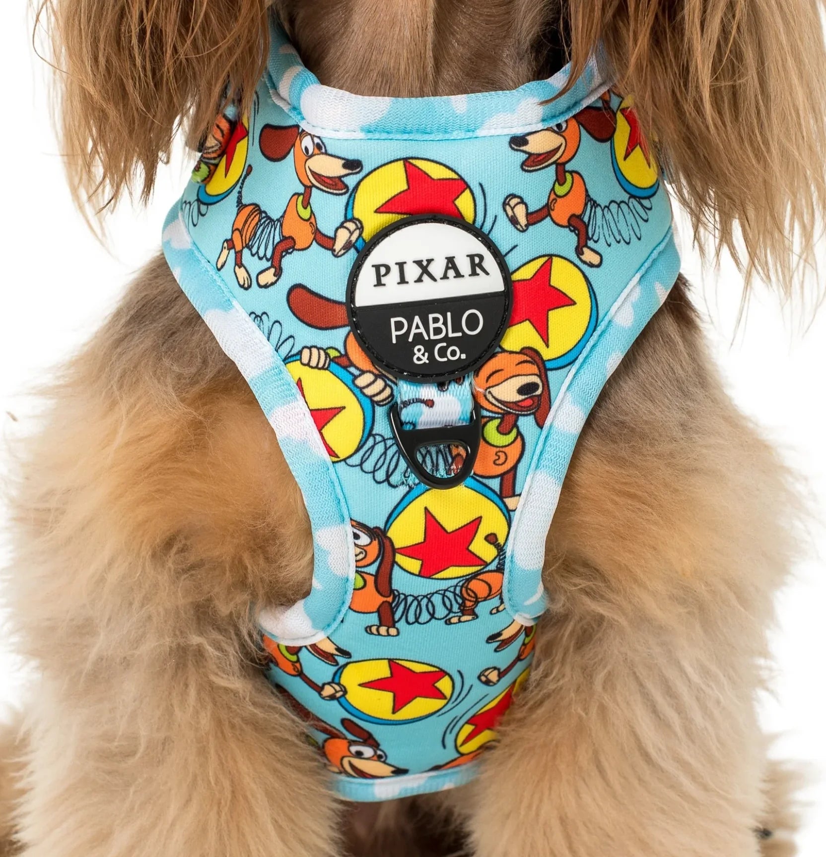 Pablo & Co. Toy Story - Slinky Dog: Adjustable Harness