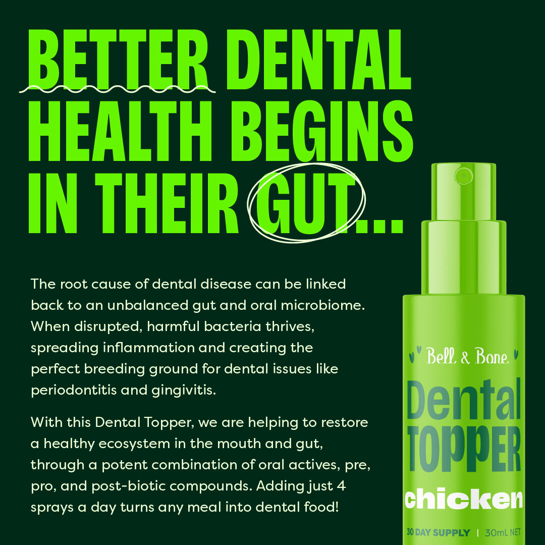 Bell & Bone Cat Dental Topper Chicken 30ml
