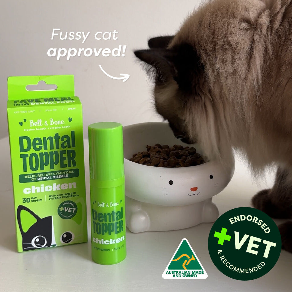 Bell & Bone Cat Dental Topper Chicken 30ml