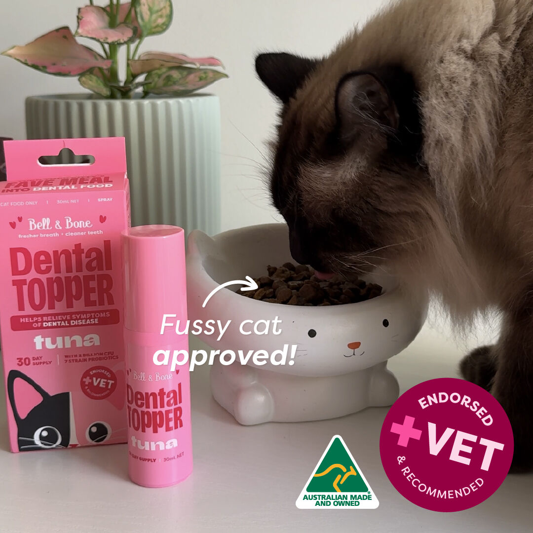 Bell & Bone Cat Dental Topper Tuna 30ml