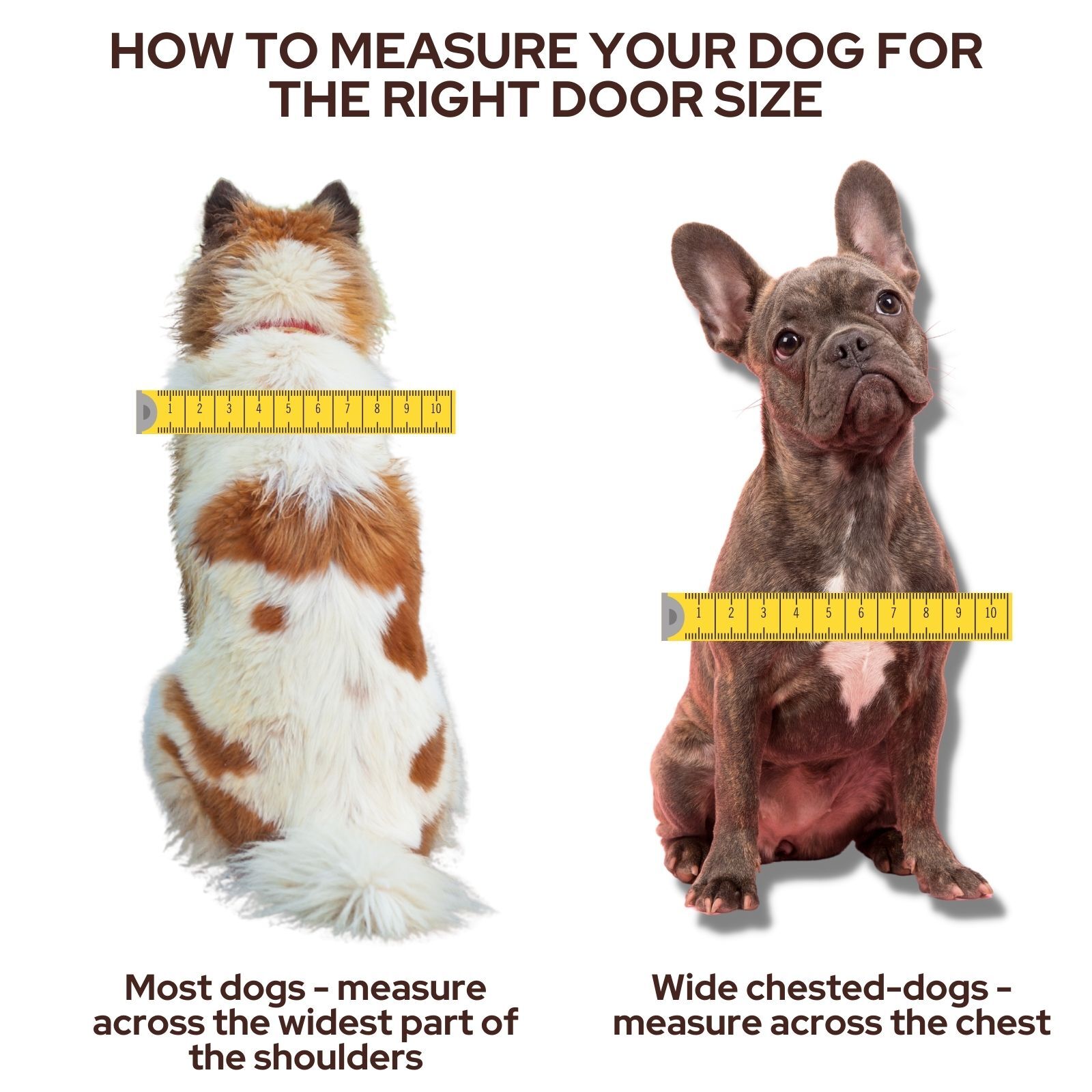 Transcat Large Pet Door for Cats & Small-Med Dogs - For Installation in Glass Doors & Windows