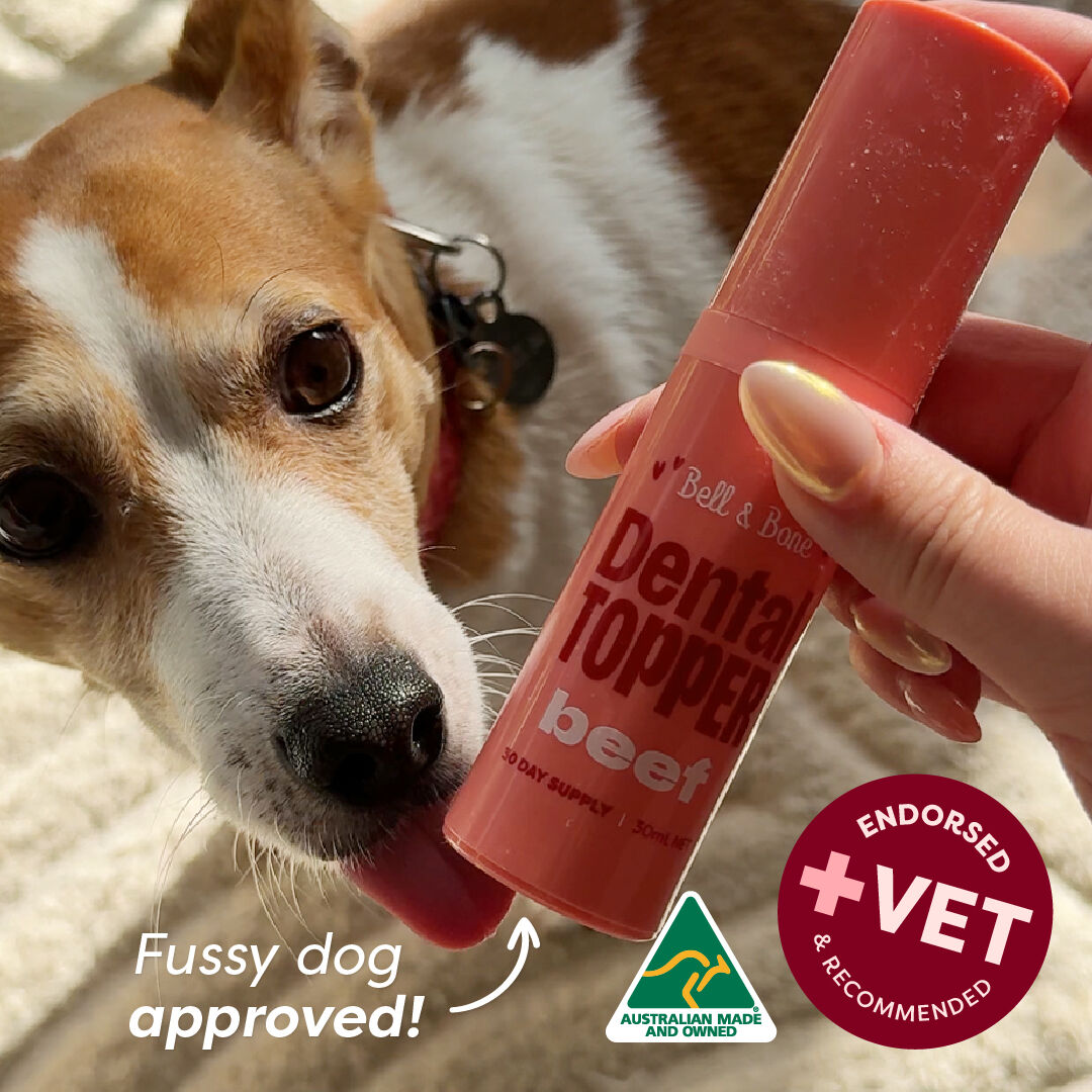 Bell & Bone Dog Dental Topper Beef 30ml
