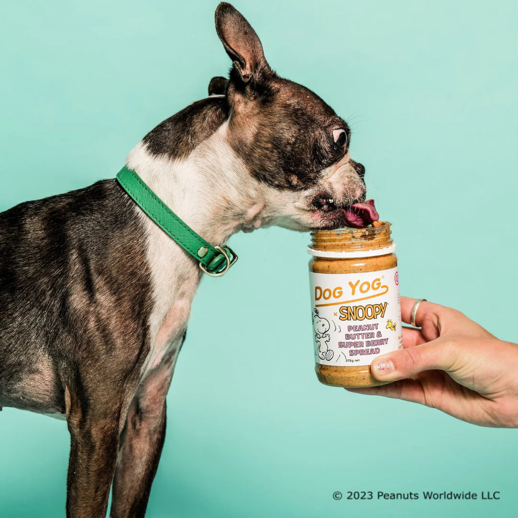 Snoopy - PB & Super Berry Spread