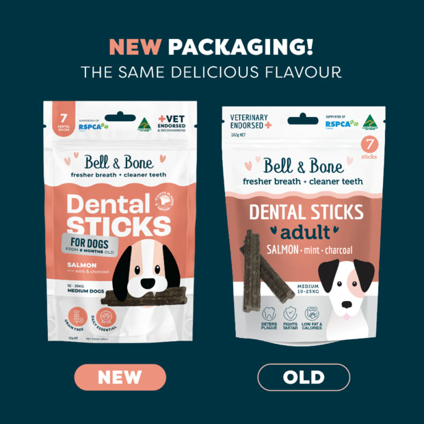Adult Dog Dental Sticks - Salmon, Mint and Charcoal