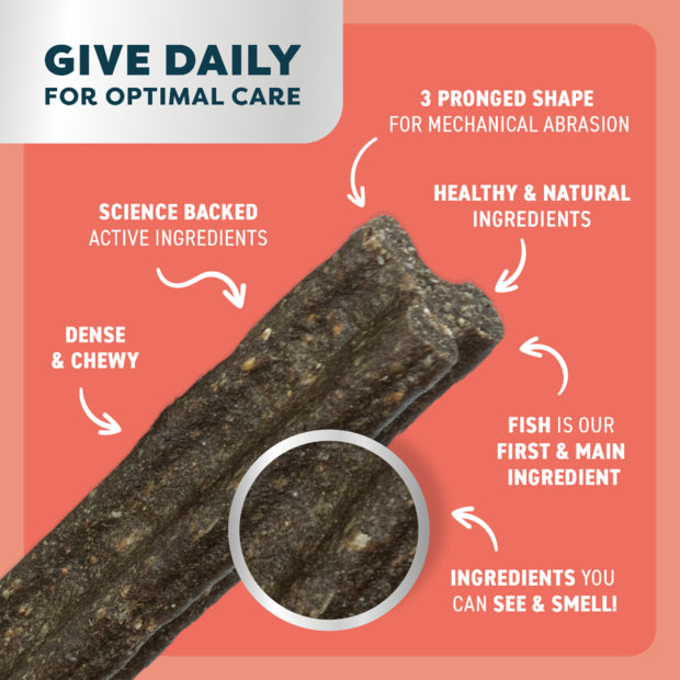 Adult Dog Dental Sticks - Salmon, Mint and Charcoal