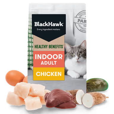 Black Hawk Cat Healthy Benefits Indoor Chicken 2Kg