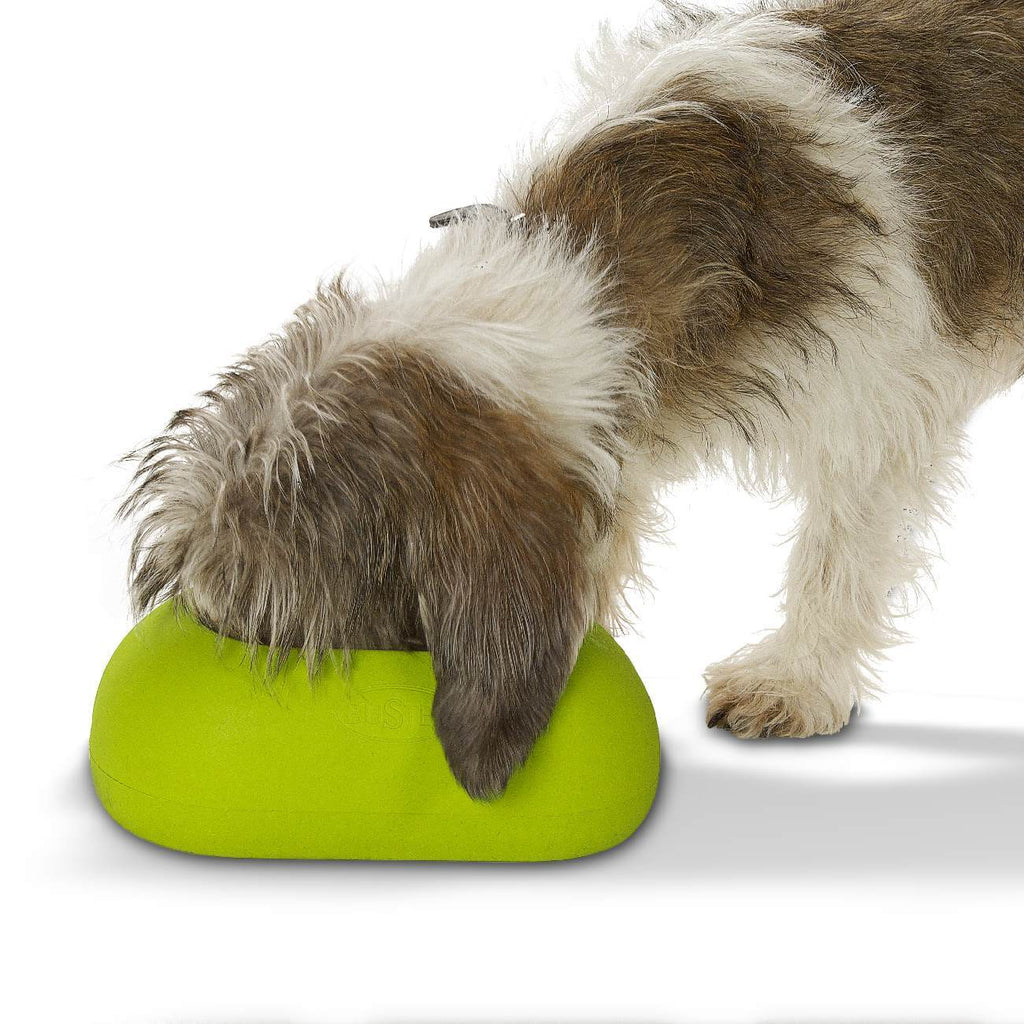 Buster IncrediBowl Wet and Dry Food Bowl for Long Eared Dogs - Large Grey