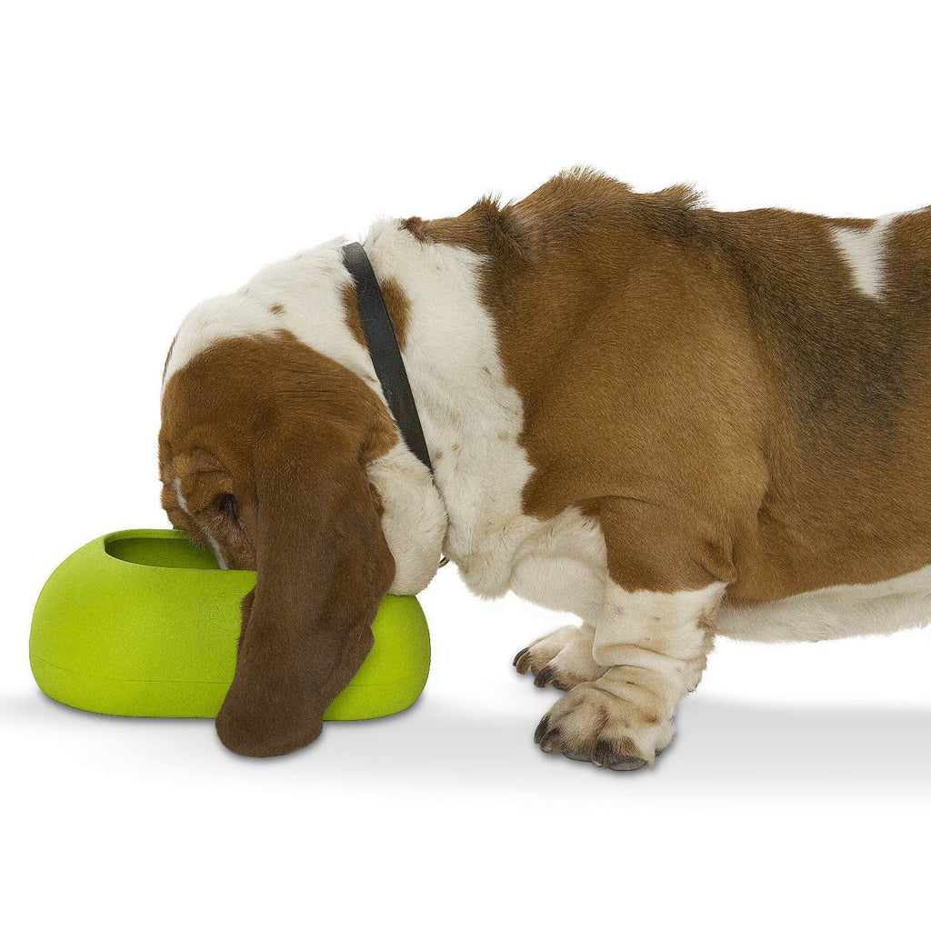 Buster IncrediBowl Wet and Dry Food Bowl for Long Eared Dogs - Large Grey