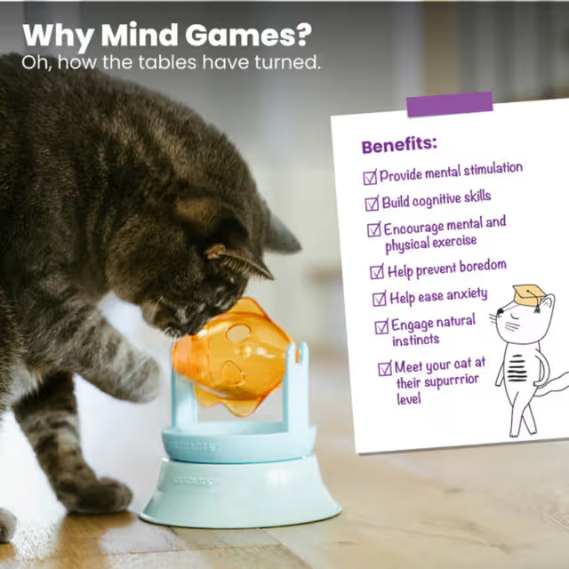 Catstages 2In1 Topper Spin Fish Bowl