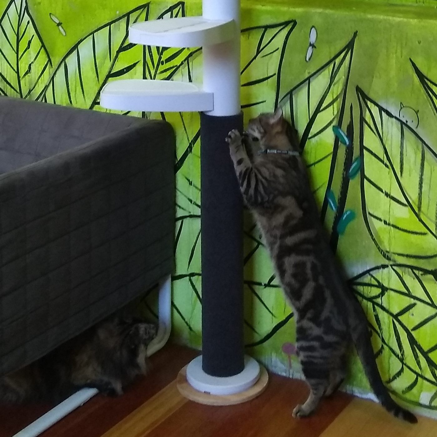 Monkee Tree Scratch Patch Accessory for the Monkee Tree Cat Climber
