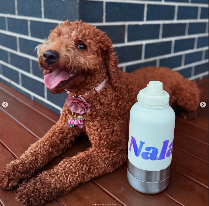 Chuggle Vanilla Woof 32oz