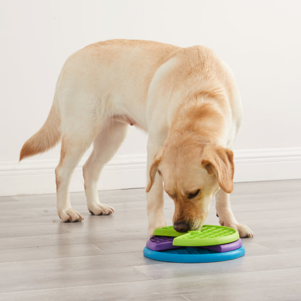 Outward Hound Lickin' Layers Slow Food & Treat Bowl for Dogs