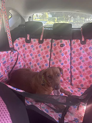 Blossom: Deluxe Hammock Car Seat Cover