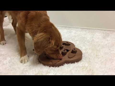 Nina Ottosson Smart Interactive Dog Toy - Dog Hide N Slide in Wooden Composite