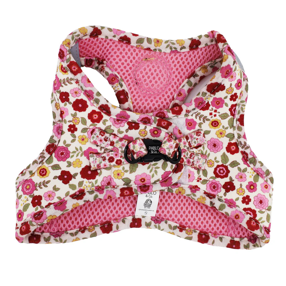 Primrose: Step In Cat Harness