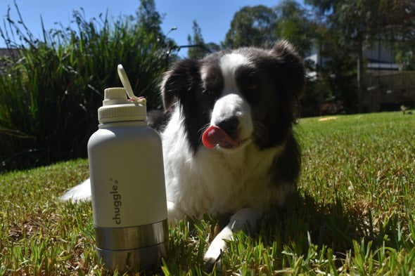Chuggle Sunny Paws 32oz