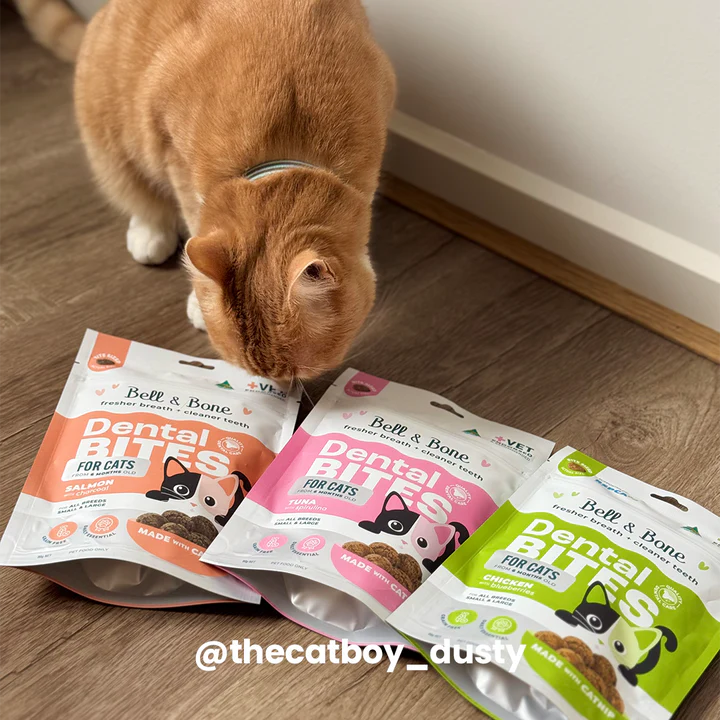 Adult Cat Dental Bites - Salmon with Charcoal